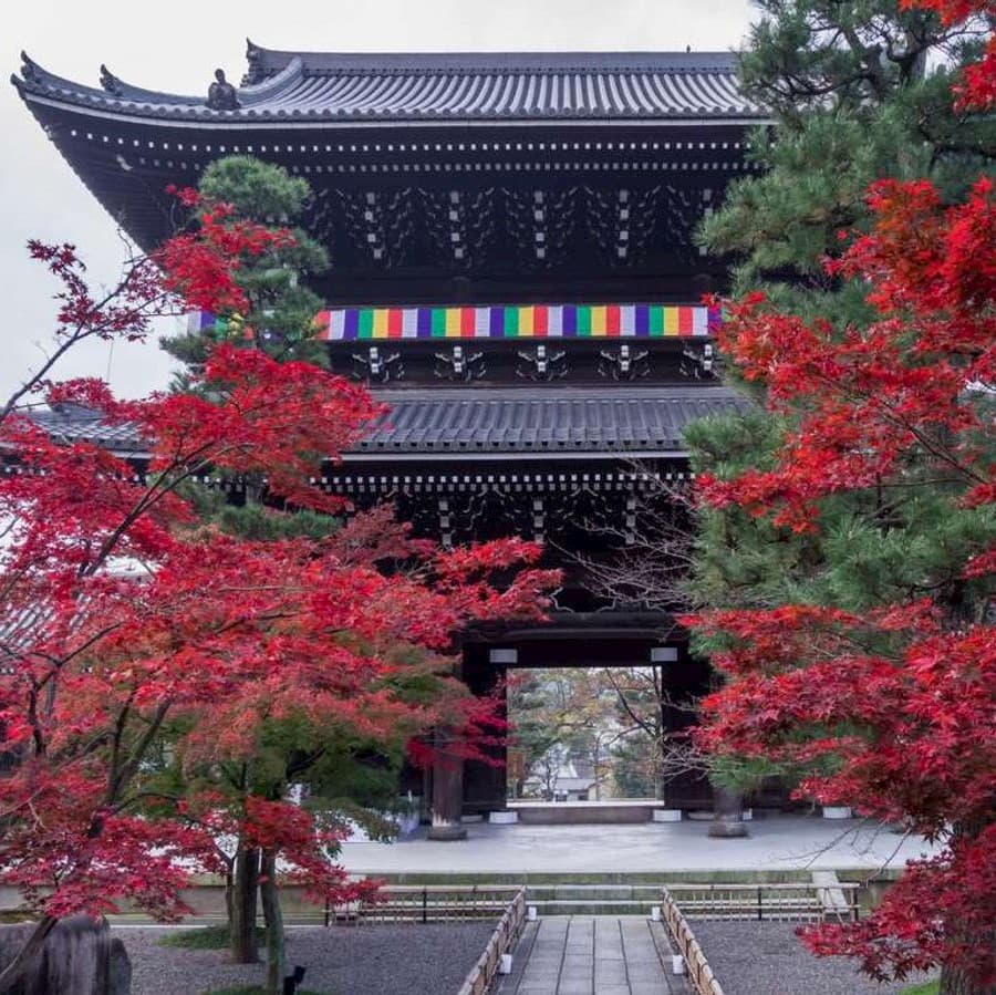 兵庫県の合格祈願の神社お寺まとめ39件 学問の神様にお参りして受験を乗り切ろう ホトカミ