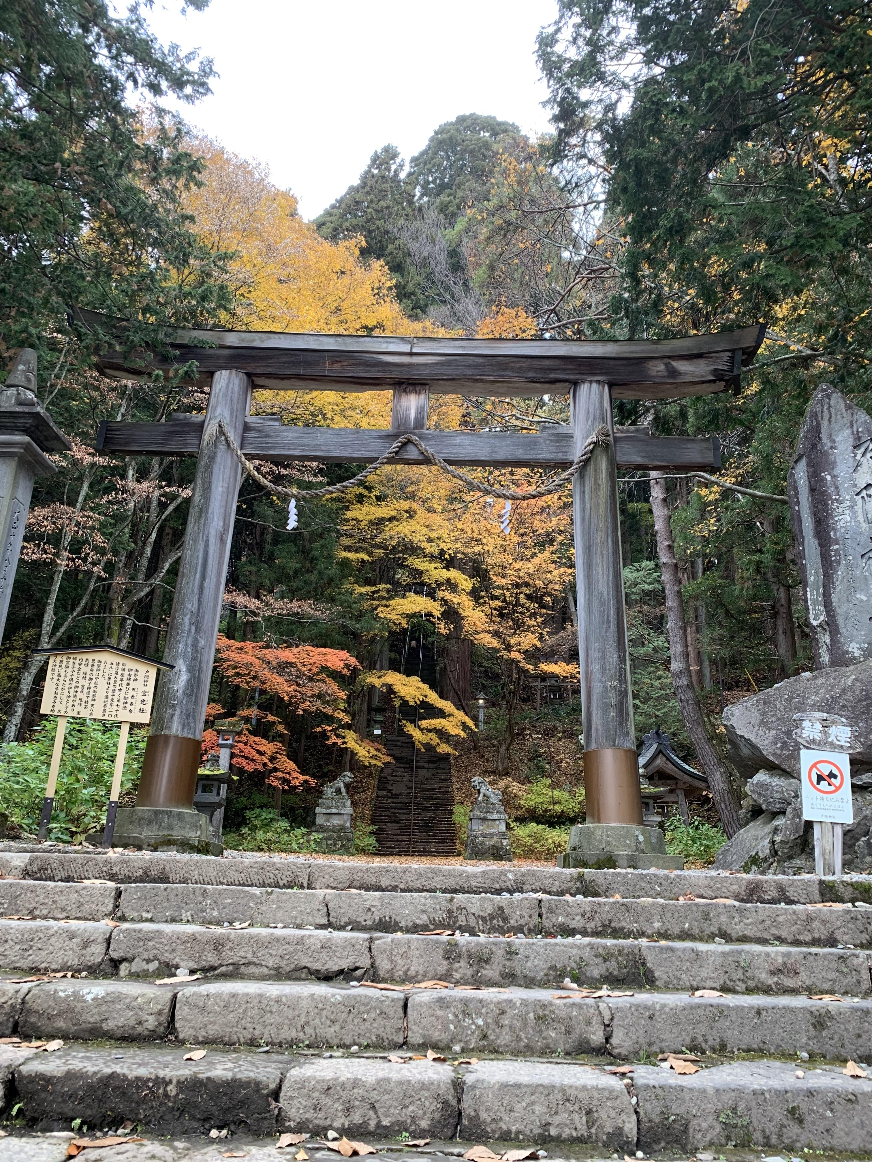 戸隠神社宝光社 長野県善光寺下駅 の投稿 1回目 社殿に上がる石段が凄く大変で 日頃の運動不足が身 ホトカミ