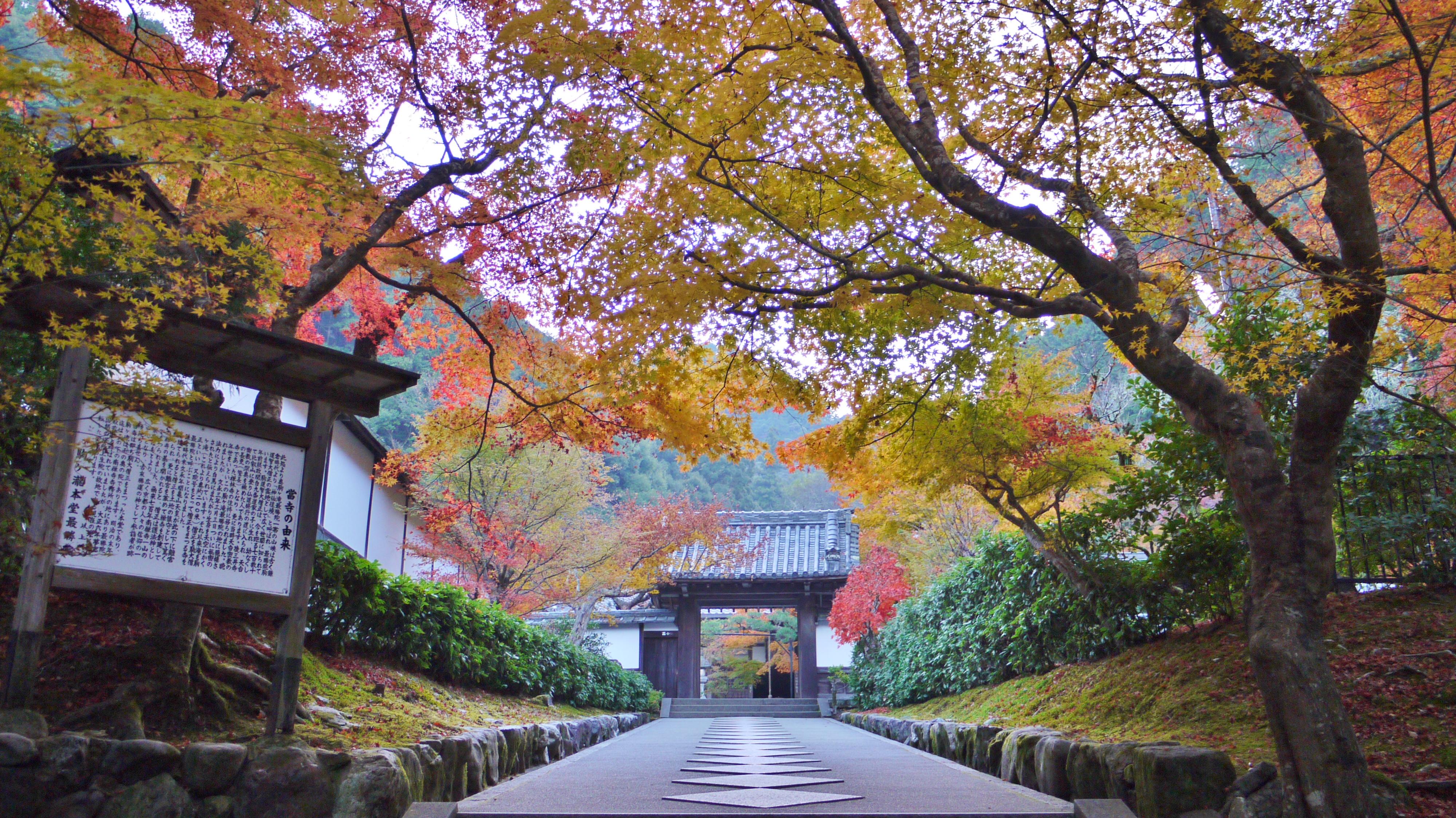 高徳庵 京都府蹴上駅 の投稿 1回目 今朝の南禅寺より 最勝院高徳庵 南禅寺水路閣 ホトカミ