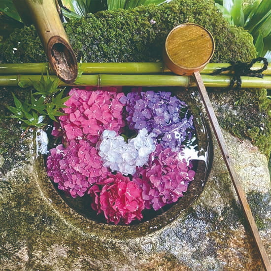 “楊谷寺(京都府)の恋手水”