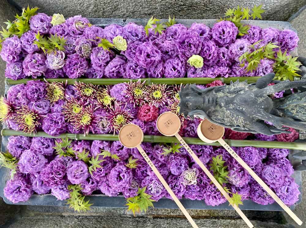 “楊谷寺のトルコ桔梗の花手水”