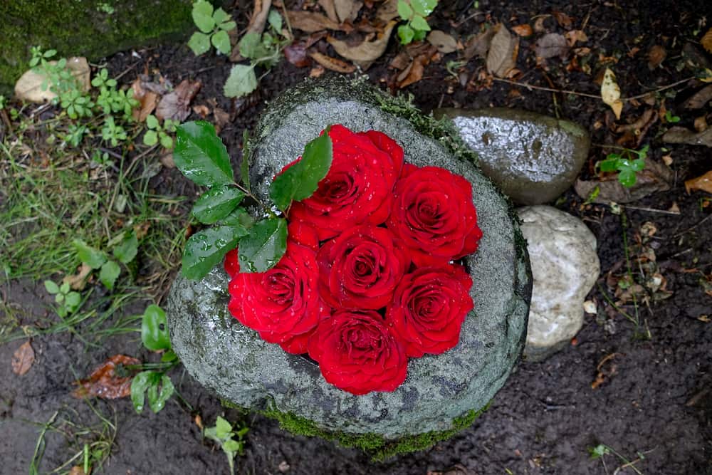 “帯廣神社の花手水”