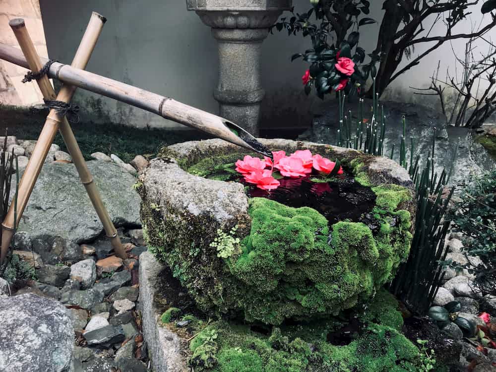 “楊谷寺の苔手水”