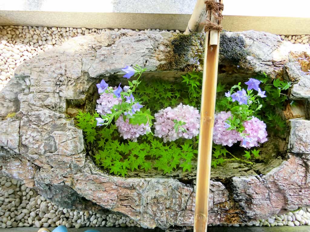 “阿智神社(岡山県)の花手水”