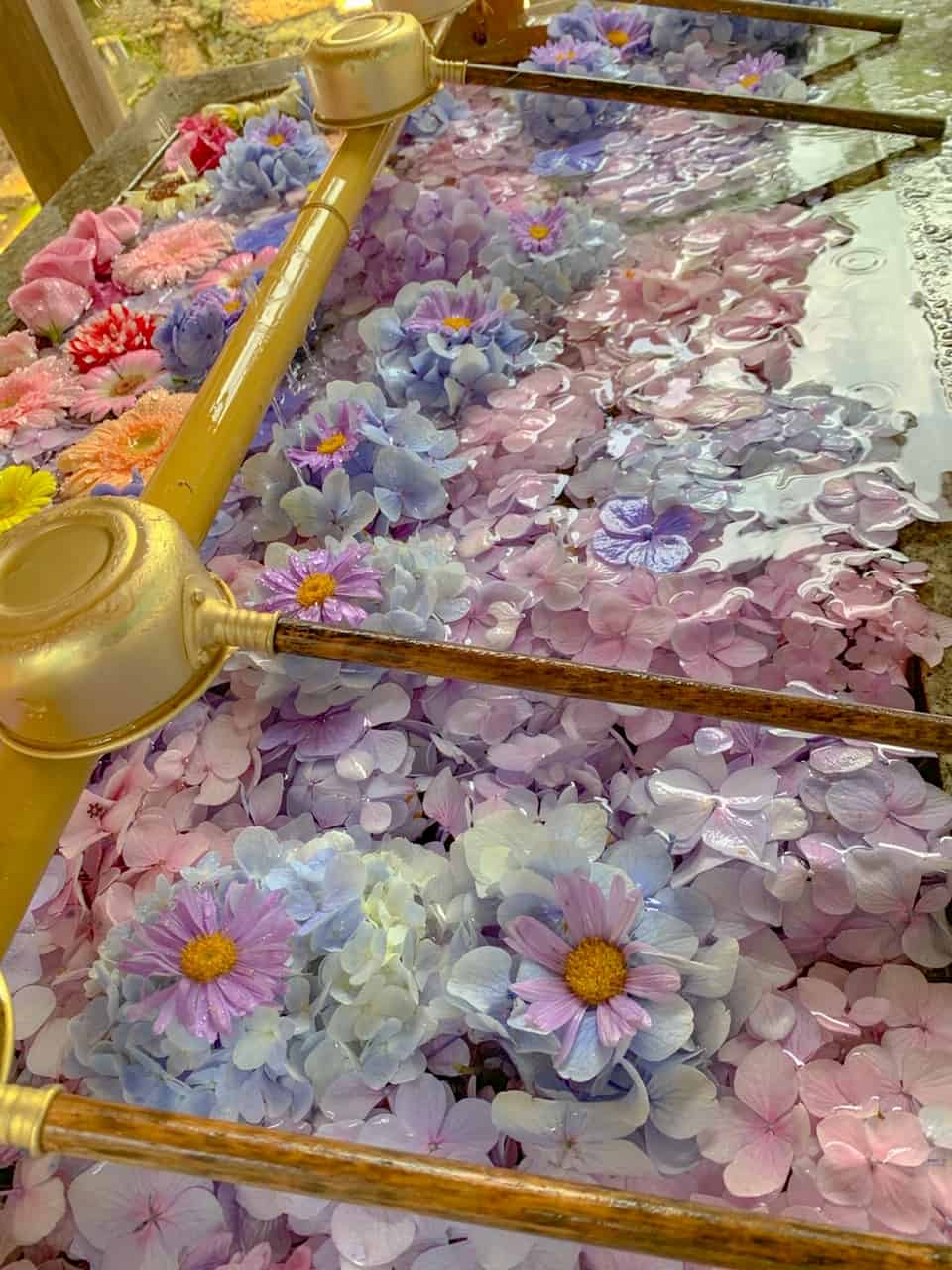 “山﨑八幡宮(山口県)の花手水”