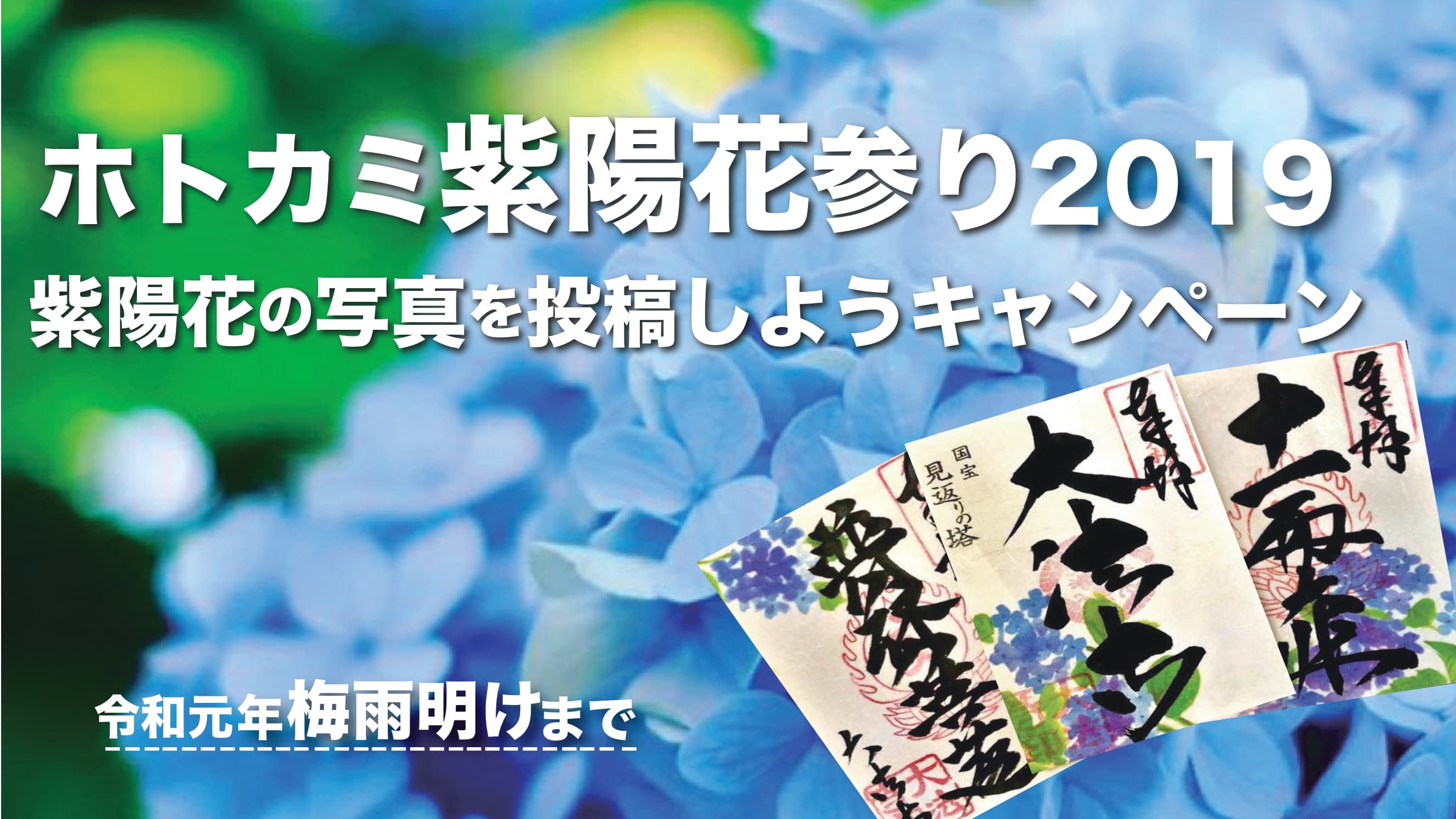 “ホトカミ紫陽花参り2019メインビジュアル”