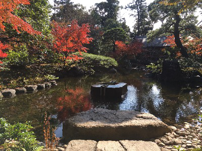 寒川神社の庭園