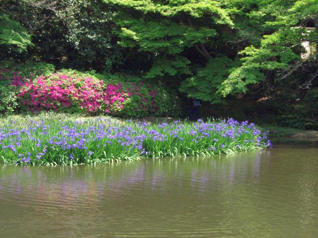 長岳寺の庭園