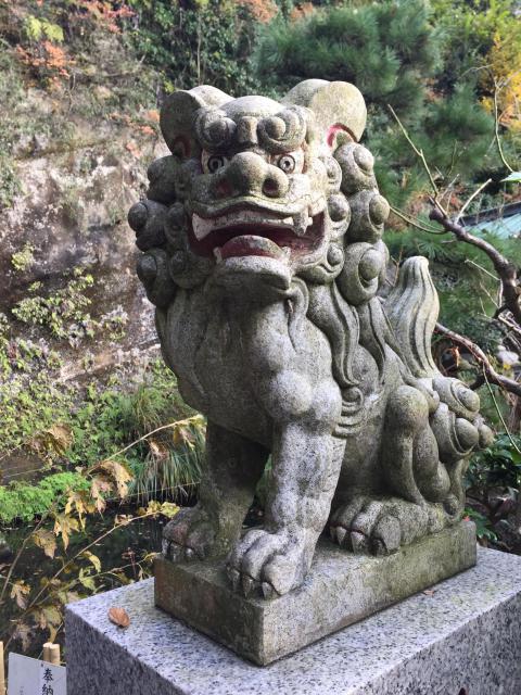 銭洗弁財天宇賀福神社の狛犬