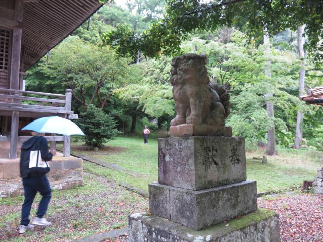 城上神社の狛犬