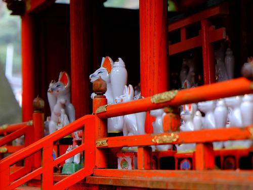 太皷谷稲成神社の動物