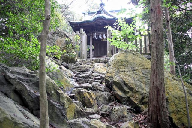 大甕神社の自然
