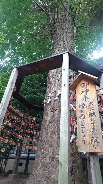 越谷香取神社の自然