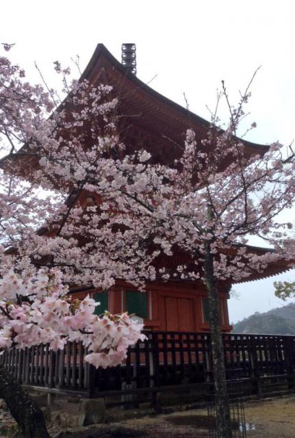 厳島神社の自然