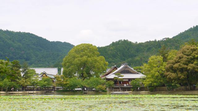 大覚寺の自然