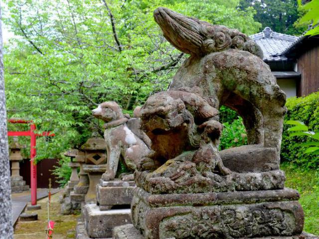 松江城山稲荷神社の狛犬