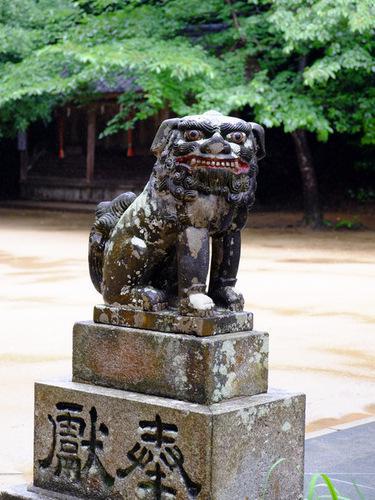 櫻井神社の狛犬