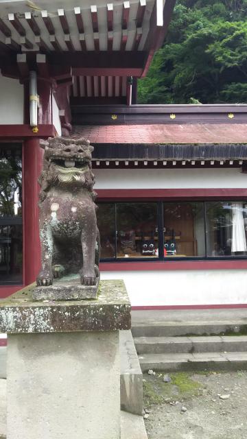 鹿児島神社の狛犬