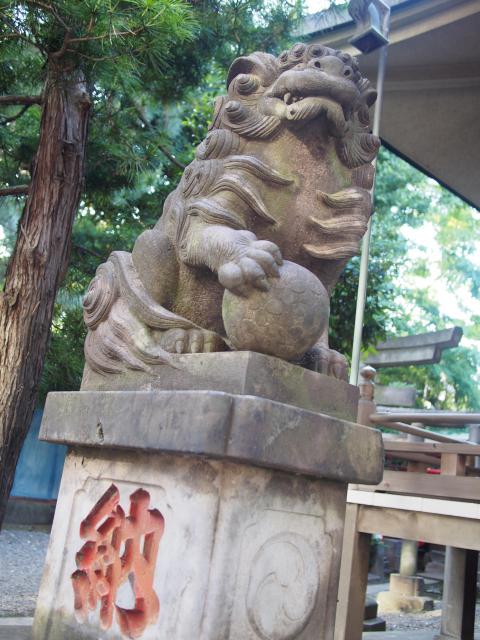 上目黒氷川神社の狛犬