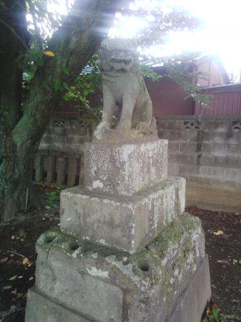 前玉神社の狛犬