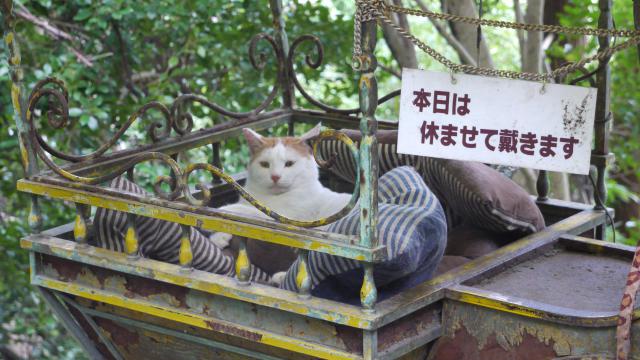 熊野若王子神社の動物