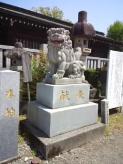 鹿沼今宮神社の狛犬