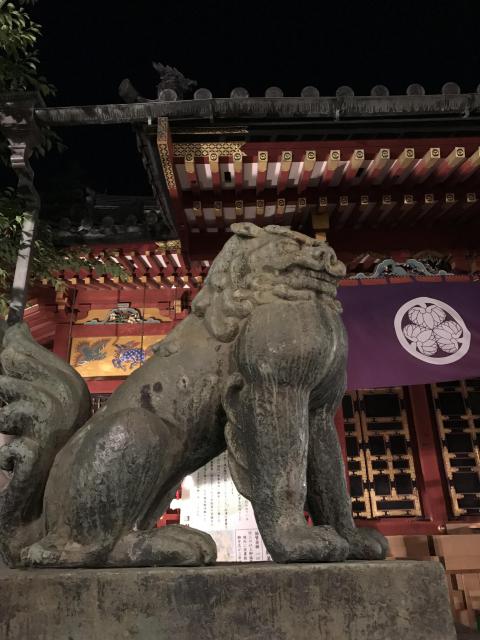 浅草神社の狛犬
