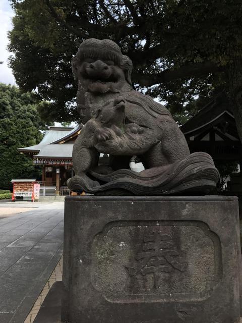 中野沼袋氷川神社の狛犬
