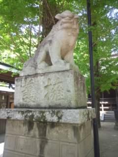 金村別雷神社の狛犬