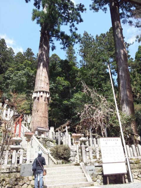 由岐神社の自然
