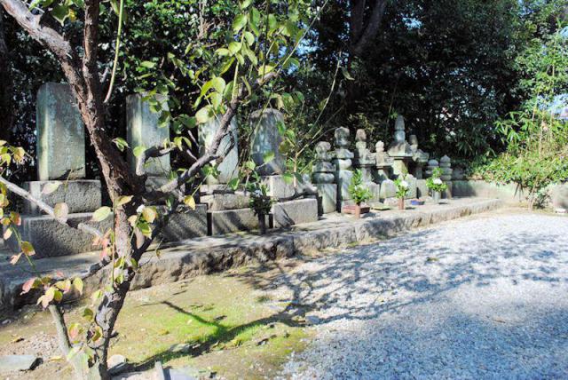 南宗寺のお墓