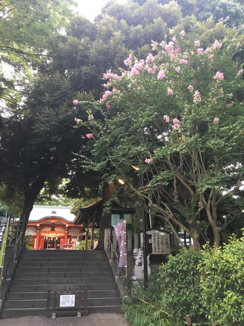 自由が丘熊野神社の自然