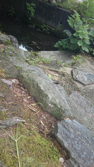 大神山神社本宮の自然