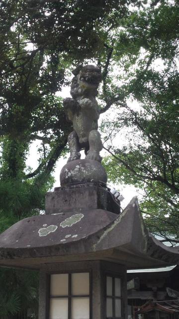 唐津神社の狛犬