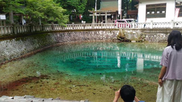 厳島神社の自然