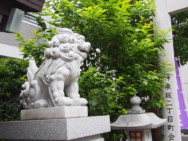 神楽坂若宮八幡神社の狛犬