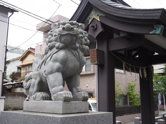 神楽坂若宮八幡神社の狛犬