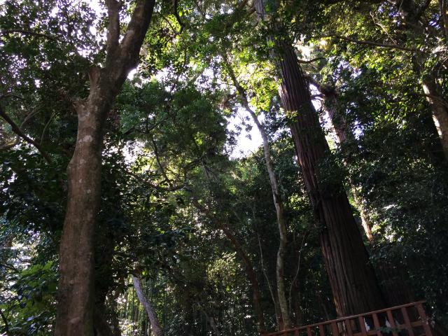 八重垣神社の自然
