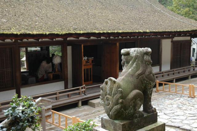 宇治上神社の狛犬