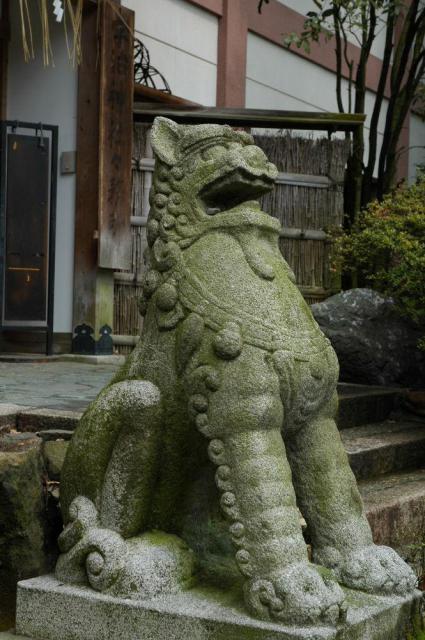 宇治神社の狛犬