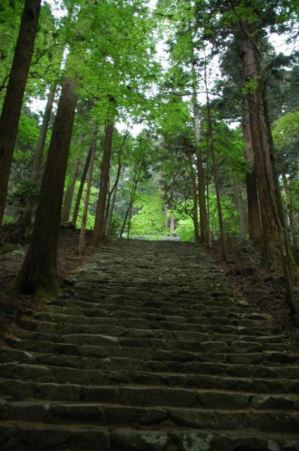 高山寺の自然