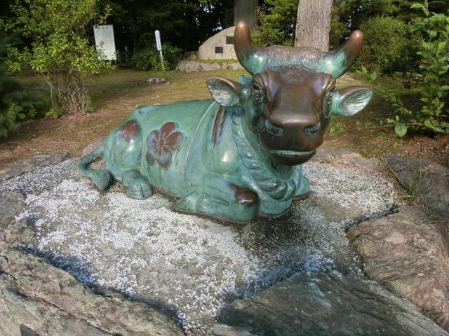 上川神社の狛犬