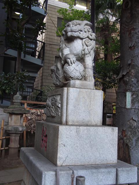 高円寺氷川神社の狛犬