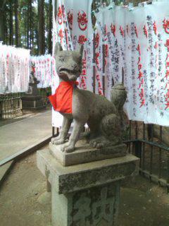 豊川閣　妙厳寺の狛犬