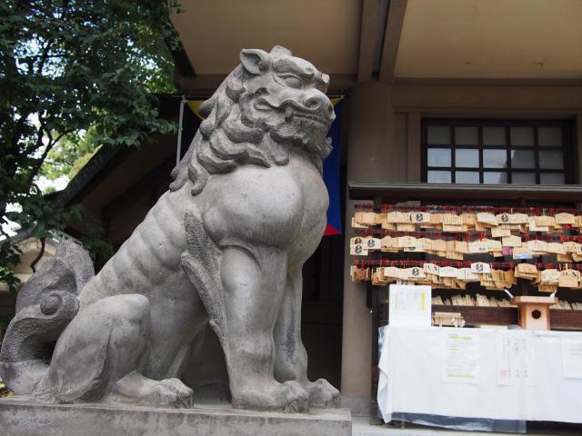 東郷神社の狛犬