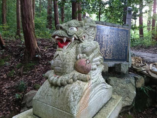 眞名井神社（籠神社奥宮）の狛犬