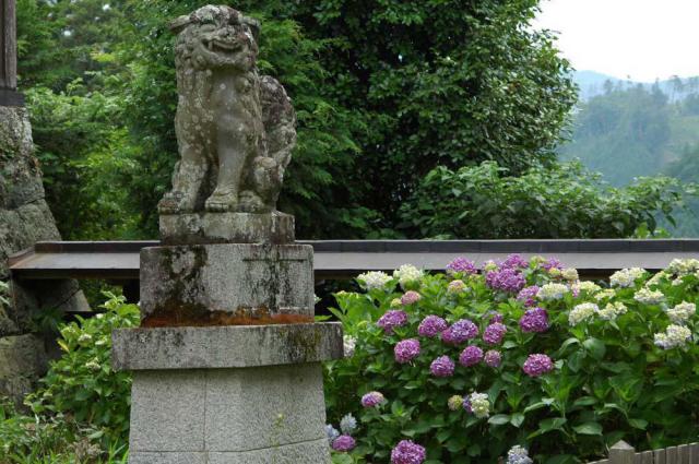 勝手神社の狛犬