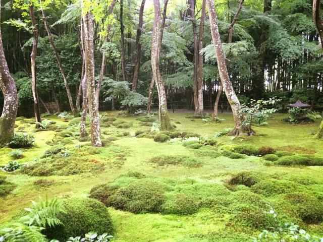 祇王寺の庭園