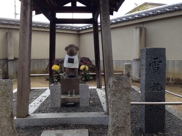 達磨寺のお墓