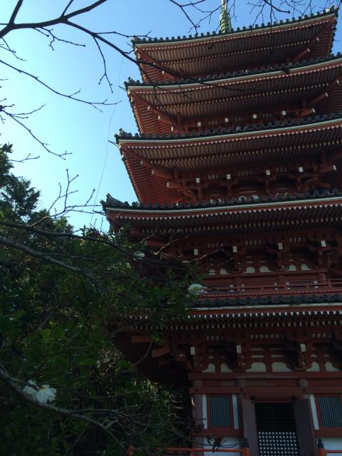 竹林寺の塔
